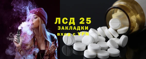 индика Рославль
