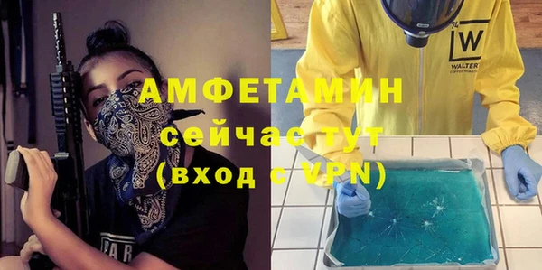 индика Рославль