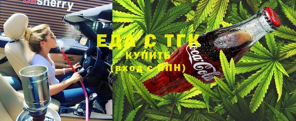 гашик Надым