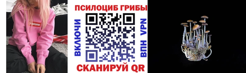 Псилоцибиновые грибы MAGIC MUSHROOMS Холмск