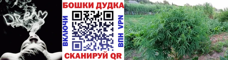 Бошки Шишки AK-47  где можно купить   Холмск 
